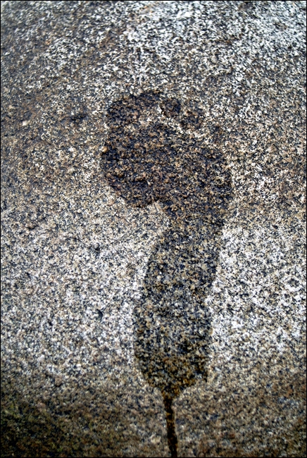 PSH_0342-es.JPG
